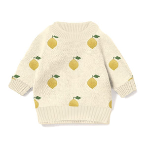 Wilson + Frenchy Organic Knit Sweater in Lemony