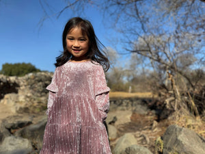 Vignette Eliana Dress in Rose Velvet