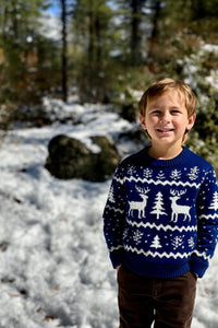 Me & Henry Woody Sweater in Reindeer