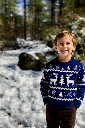 Me & Henry Woody Sweater in Reindeer