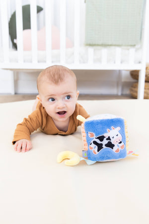 Pearhead Newborn Sensory Learning Toy Set
