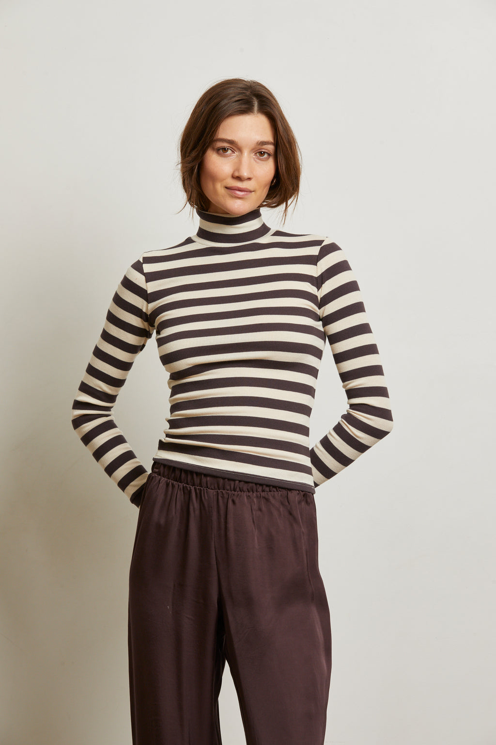 perfectwhitetee Hayden Stripe Turtleneck in Mocha