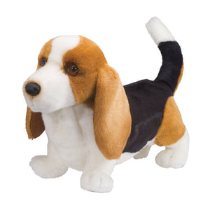 Douglas Harold Basset Hound