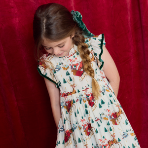 Pink Chicken Girls Jennifer Dress in White Santa Sleigh