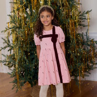 Pink Chicken Girls Liliana Dress in Pink Velvet Bow