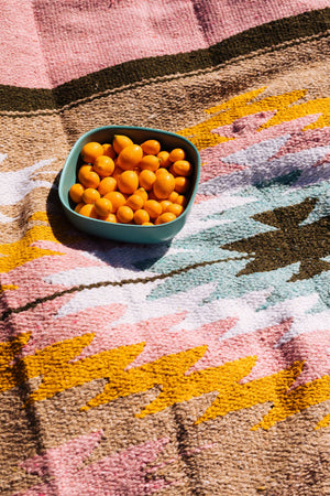 Caminito Tierra Fresca Blanket Roll