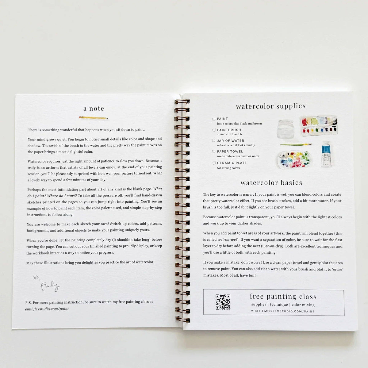 emily lex studio Fruit Watercolor Workbook
