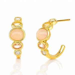 Tai Jewelry - Ombre Small Hoop Earring