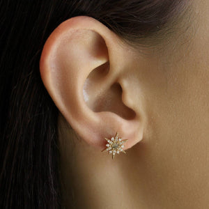 Tai Labradorite Stone Starburst Earrings