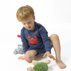 Angel Dear Raglan Sweatshirt in Sailor Sea Creatures Applique