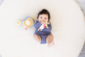 Pearhead Newborn Sensory Learning Toy Set
