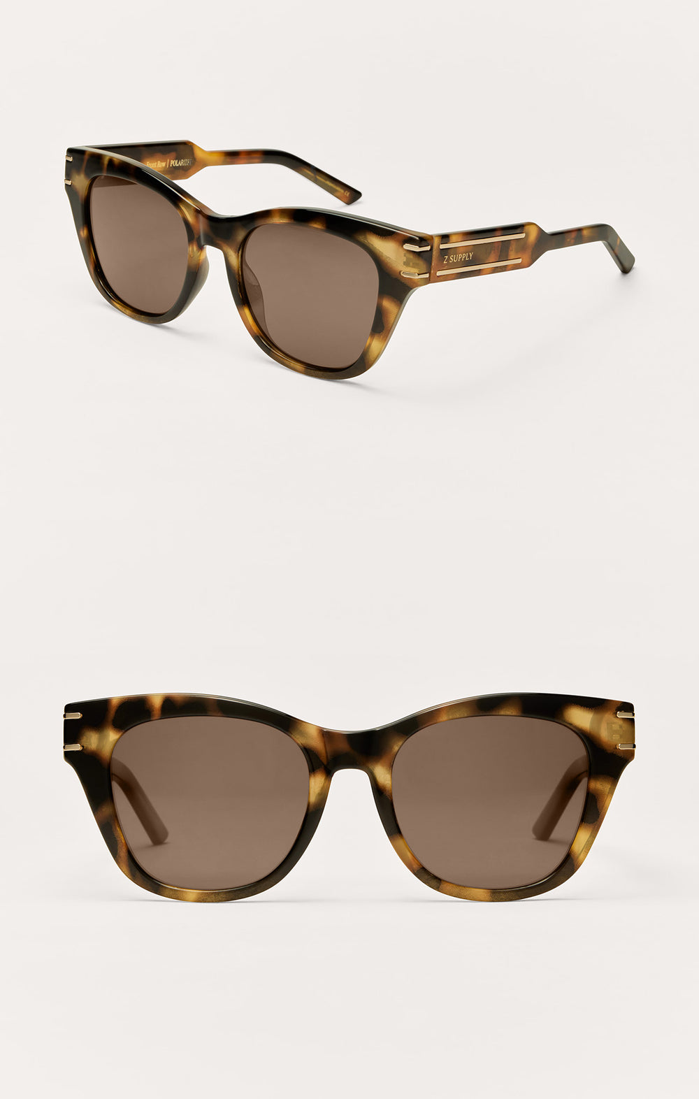 Brown Tortoise