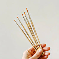 emily lex studio Watercolor Paintbrush Set