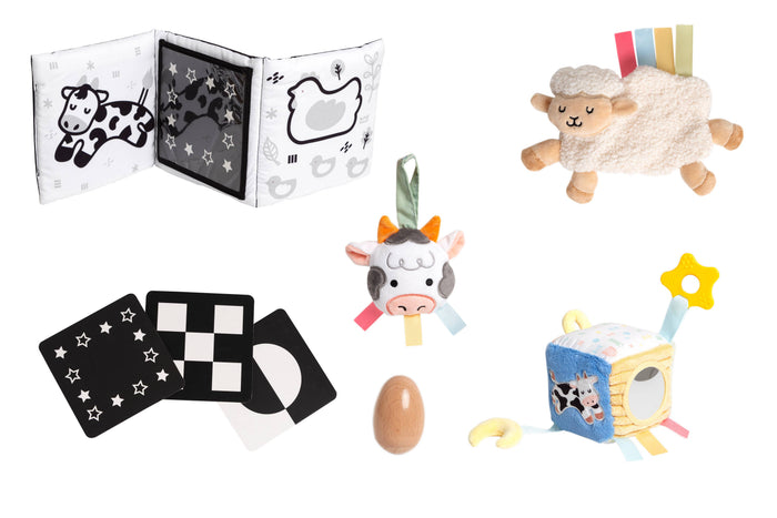 Pearhead Newborn Sensory Learning Toy Set