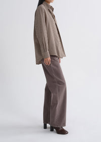 Agolde Aris Shirt in Trace Stripe
