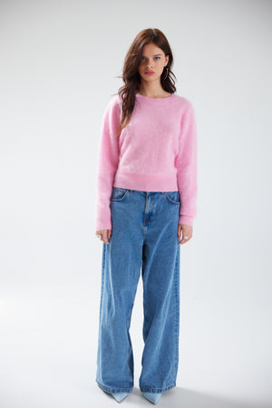 Colorush Brushed Wendy Crew Sweater in Primrose