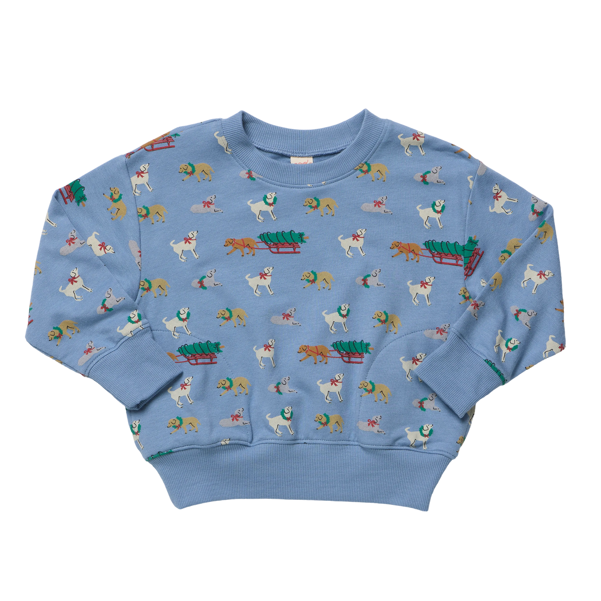 Coop Kids by Pink Chicken Play Sweatshirt in Holiday Labs