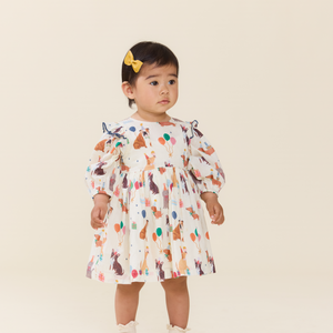 Pink Chicken Brooke Dress Set in Party Pets