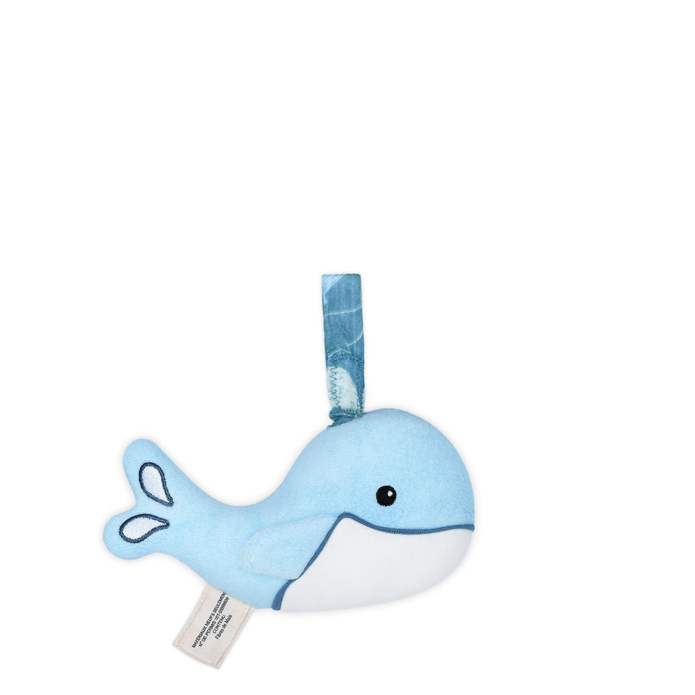 Whale