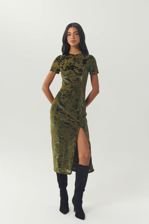 Olive