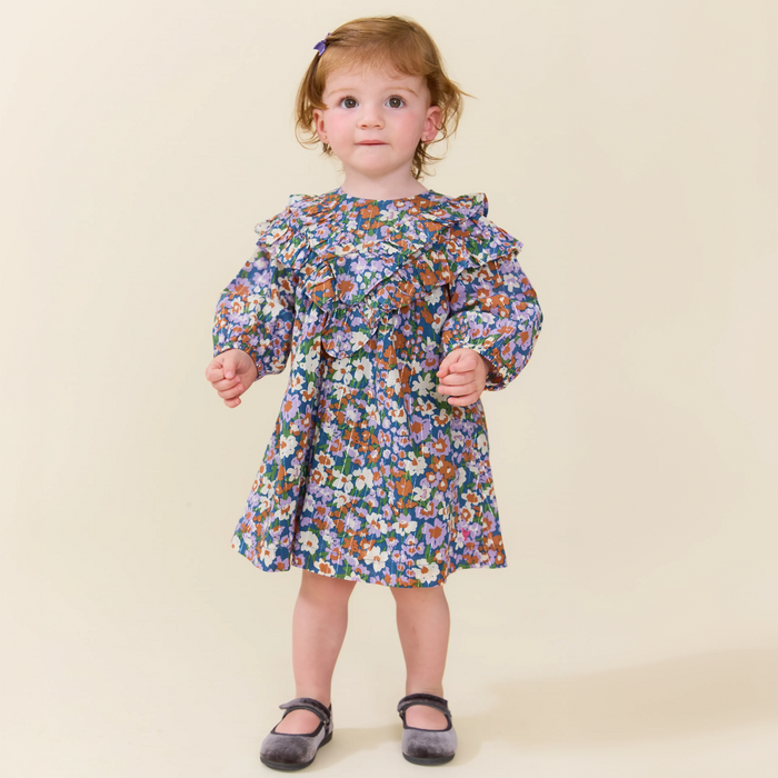 Pink Chicken Baby Everly Dress in True Blue Sketched Floral
