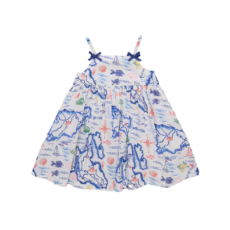 Pink Chicken Tia Dress in Island Map
