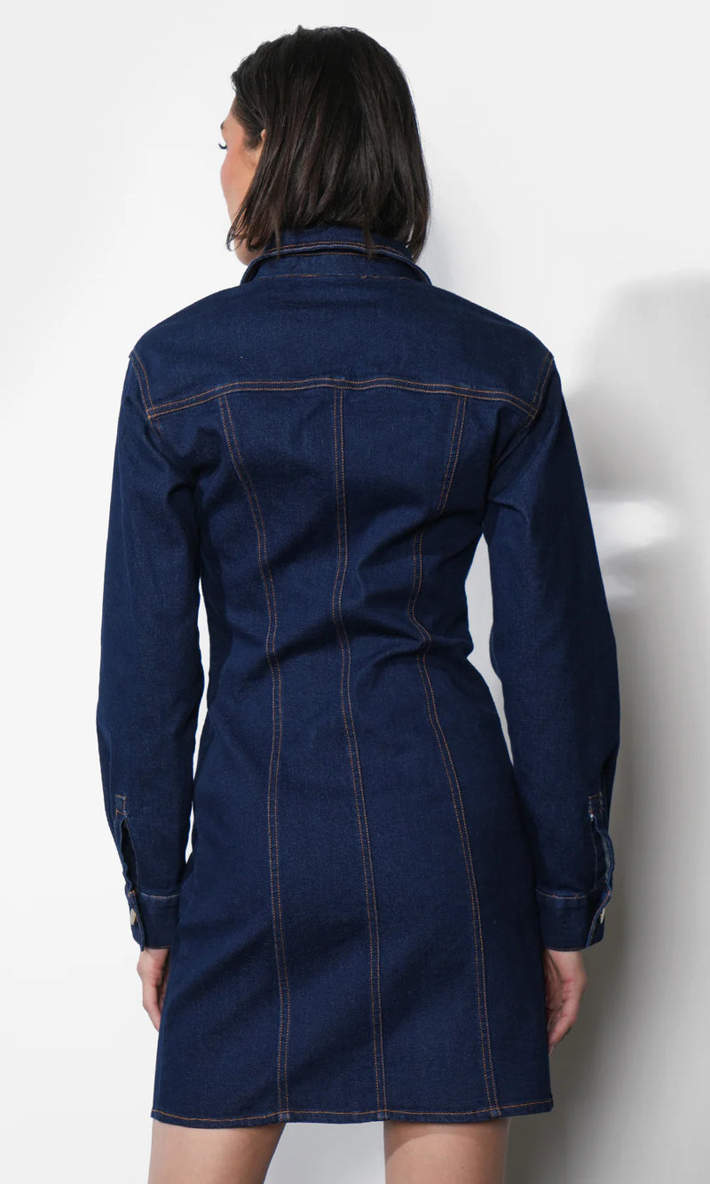 Greylin Calista Button Up Denim Dress in Indigo