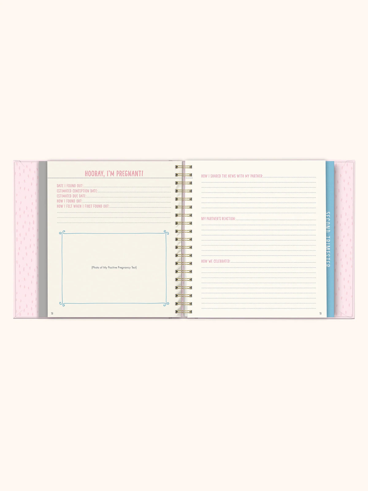 Studio Oh! Bump for Joy: A Pregnancy Journal in Pink