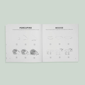 Paige Tate & Co Woodland Creatures: How to Draw Books for Kids