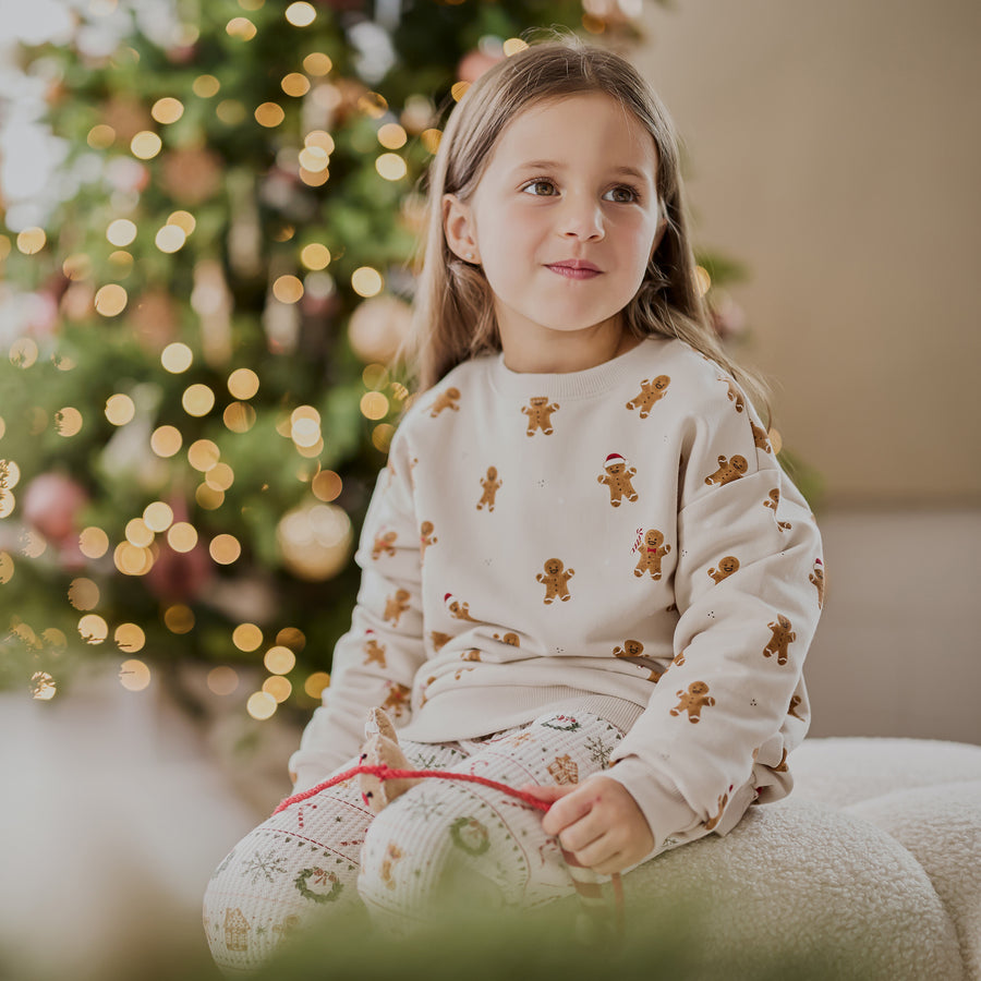 Petit Lem Sweatshirt in Merry Gingerbread