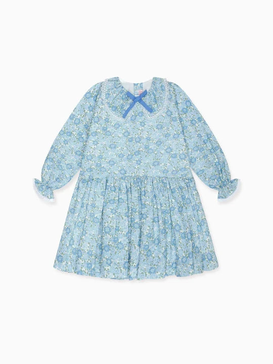 La Coqueta Maribela Drop Waist Dress in Blue Floral