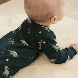 Petit Lem Footie in Holiday Dinos