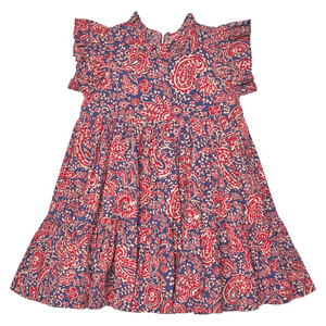 Pink Chicken Jennifer Dress in Paisley Vines