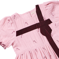 Pink Chicken Girls Liliana Dress in Pink Velvet Bow