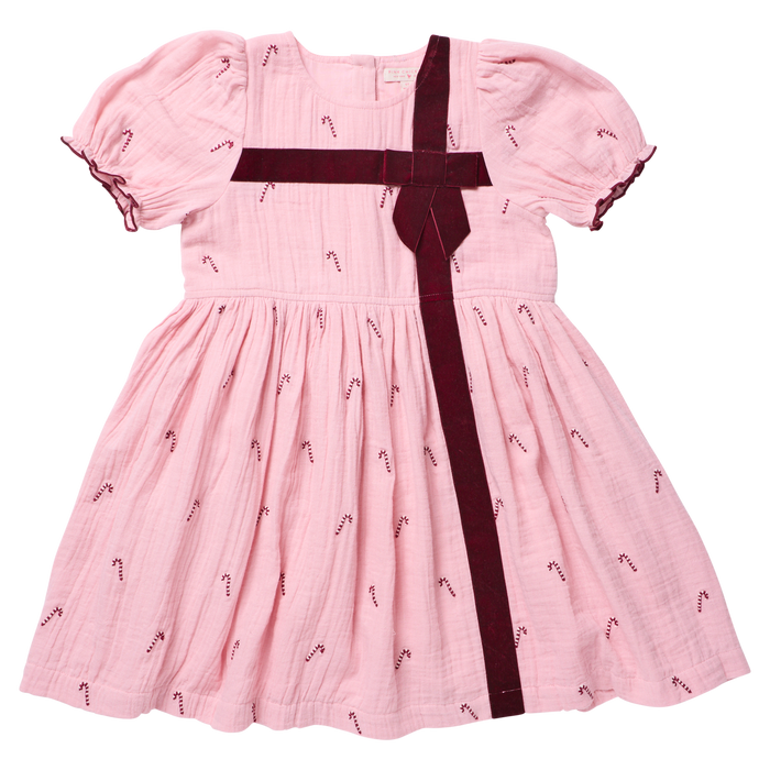 Pink Chicken Girls Liliana Dress in Pink Velvet Bow