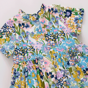 Pink Chicken Autumn Dress in Blue Large Sketched Floral