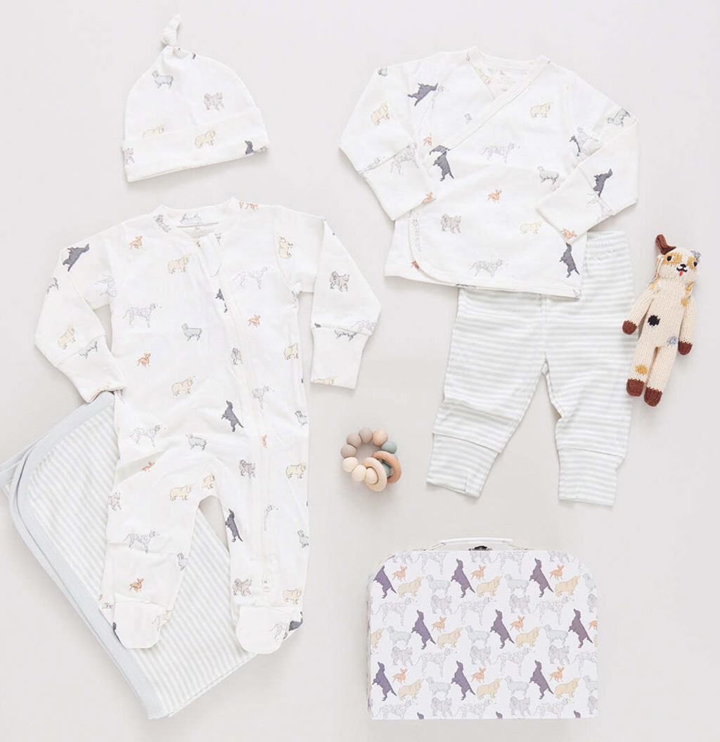 Pink Chicken Nesting Box Baby Take Home Set in Tiny Dogs