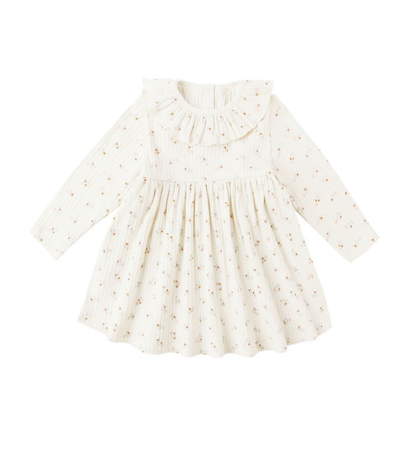 Rylee + Cru Ruffle Collar Dress in Natural Ditsy