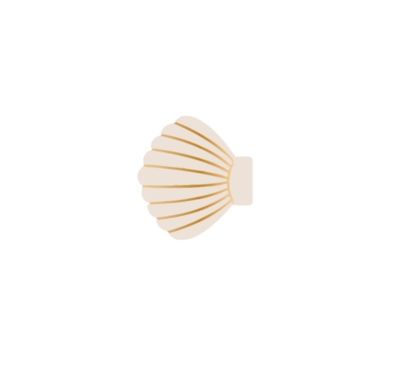 Rylee + Cru Shell Clip Set in Seafoam / Natural