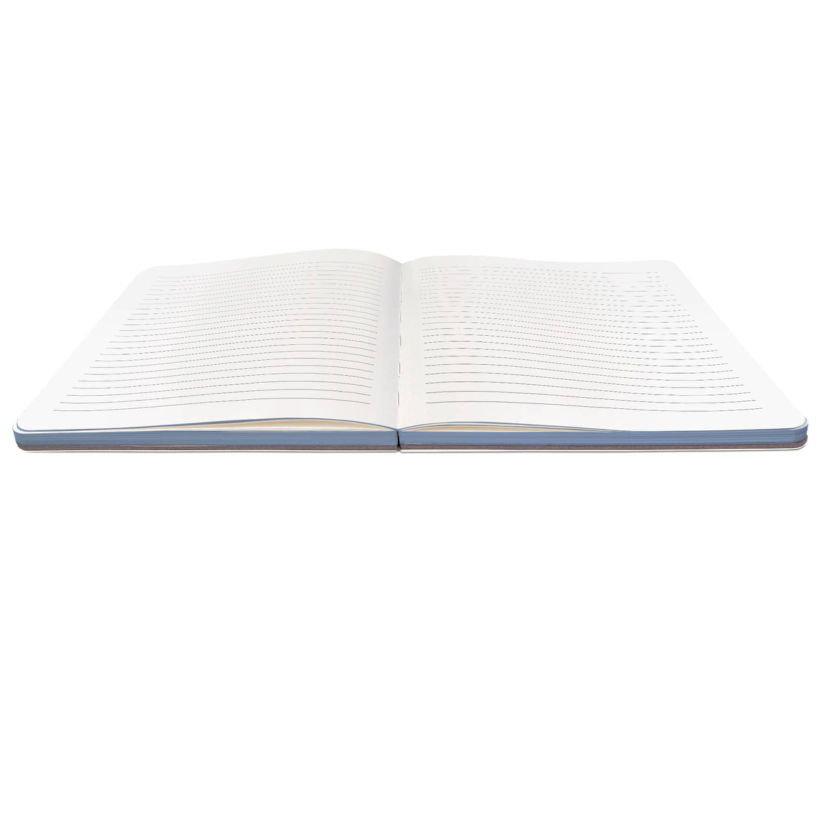 Studio Oh! Wild Caught Sardines Medium Coptic-Bound Journal