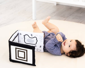 Pearhead Newborn Sensory Learning Toy Set