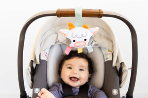 Pearhead Newborn Sensory Learning Toy Set