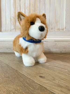 Winston the Corgi with Whitney + Winston Collar