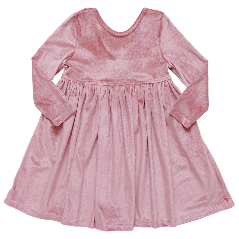 Pink Chicken Velour Steph Dress in Mauve