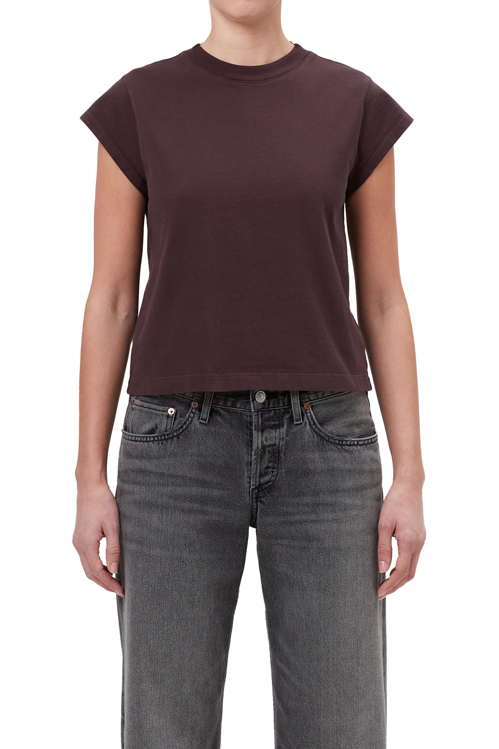 Agolde Bryce Cap Sleeve Tee in Root