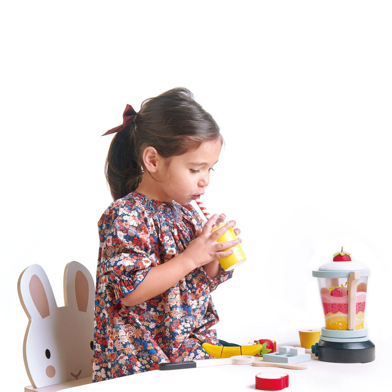 Tender Leaf Toys Fruity Blender Set