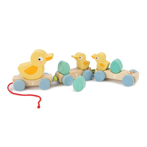 Tender Leaf Toys Pull Along Ducks