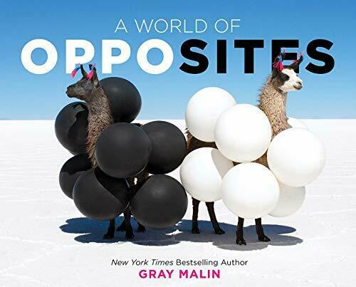 Gray Malin World of Opposites Book
